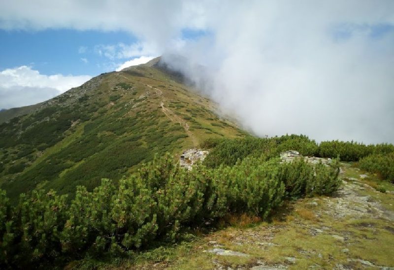 IMG_20180720_153933